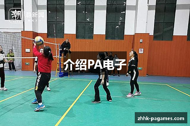 介绍PA电子